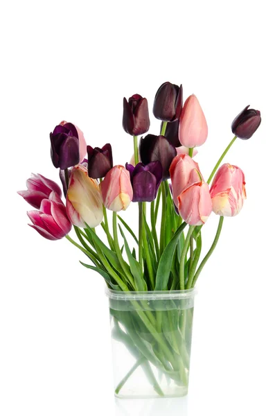 Beautiful bouquet of tulips in transparent vase isolated on whit — Stock Photo, Image