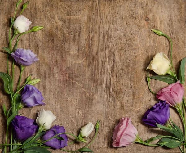सुंदर ईस्टोमा फुले — स्टॉक फोटो, इमेज