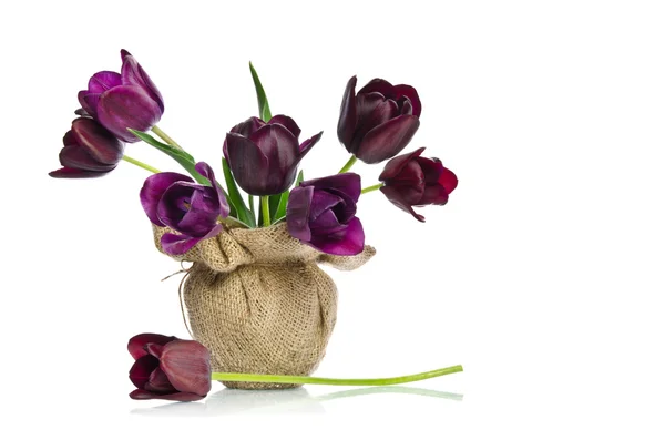 Beautiful purple tulips in a vase decoration in burlap isolated — Stock Photo, Image