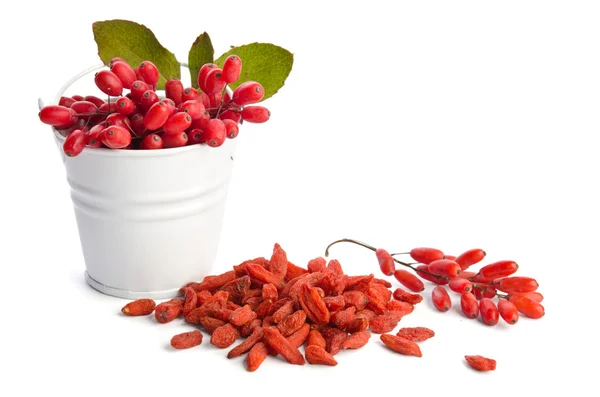 Cubo de metal con bayas cerca de montón de bayas de goji aisladas —  Fotos de Stock