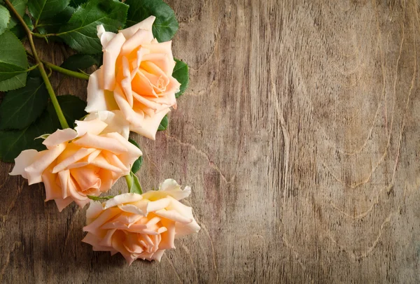 Delicate cream roses from the site  on wooden table — Stock Photo, Image