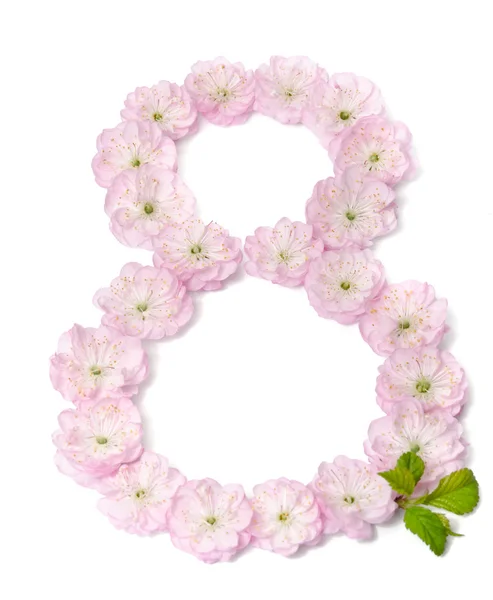 흰색 바탕에 번호 8의 모양에 핑크 꽃 — 스톡 사진
