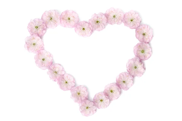 粉红色的花朵，在白色背景上的心的形状 — 图库照片
