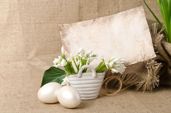 Snowdrop with  eggs for easter near empty blank for text on sack — Stock Photo, Image