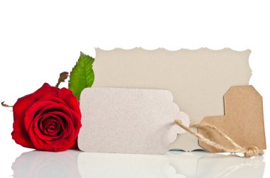 metniniz için boş etiketi ile beyaz zemin üzerine kırmızı gül