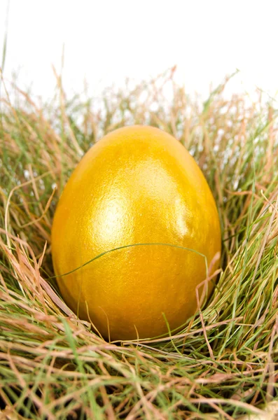 Golden eggs in nest — Stock Photo, Image