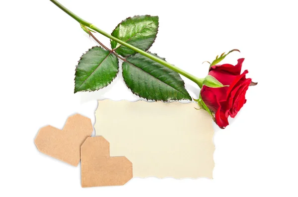 Rosa roja con tarjeta de regalo de San Valentín y en blanco para el texto en blanco ba —  Fotos de Stock