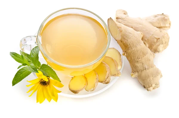 Cup of tea with  ginger slices and  Echinacea flower near isolat — Stock Photo, Image