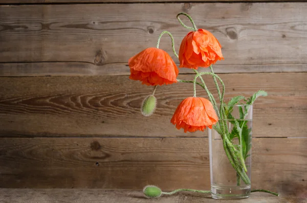 Bouquet of poppies in glass vase isolated on wooden background — Stock Photo, Image