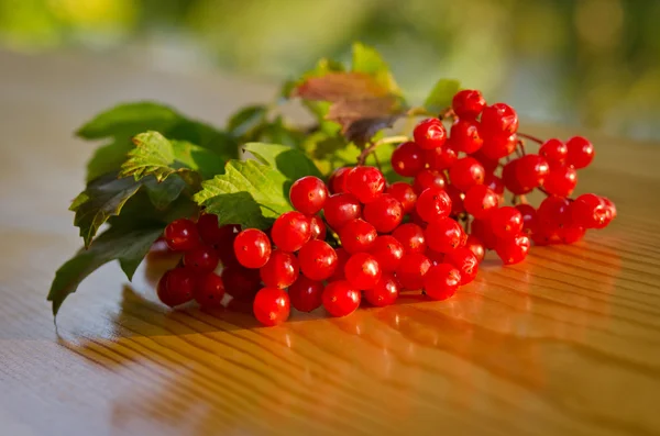 Красные ягоды вибурнума на деревянном столе — стоковое фото