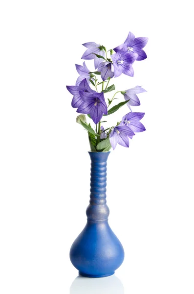 Cloche fleur en vase isolé sur blanc — Photo