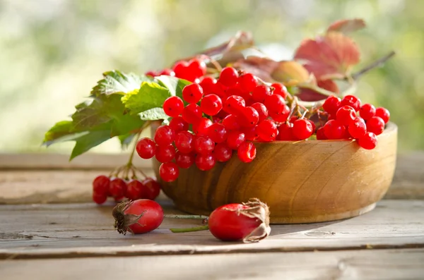 Красные ягоды Viburnum в деревянной чаше на столе с двумя розами ч — стоковое фото