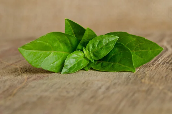 Leaves of basil on wooden background — Stock Photo, Image