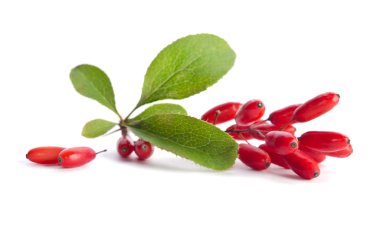 Olgun barberries beyaz arka plan üzerinde izole