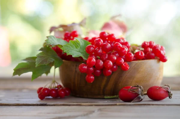 Rote Viburnum-Beeren in Holzschale auf dem Tisch mit zwei Rosenblüten — Stockfoto