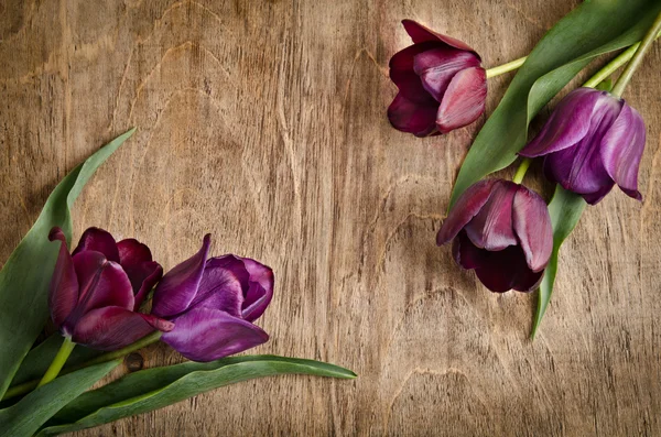 Fresh tulips from two corners is lying on wooden background, lik — Stock Photo, Image