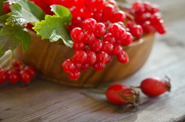 İki Gül h ile masada ahşap kase kırmızı kartopu meyveleri — Stok fotoğraf