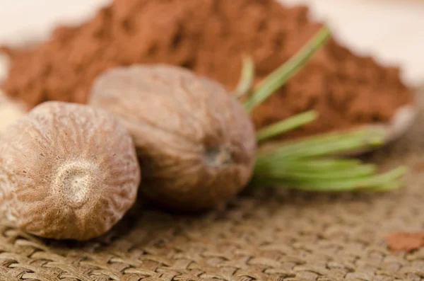 Nutmegs with a sprig of rosemary and cacao powder in the wooden — Stock Photo, Image