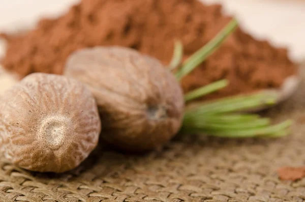 Muskaatnoten met een takje rozemarijn en cacao poeder in de houten — Stockfoto