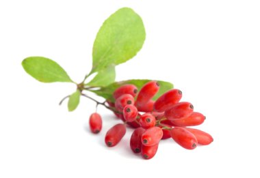 Olgun barberries beyaz arka plan üzerinde izole