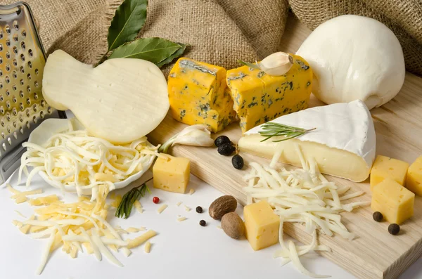 粉チーズとスパイスとの周りのチーズ丼 — ストック写真