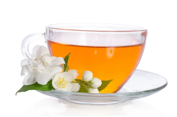 Glas kopje thee met jasmijn op de witte achtergrond — Stockfoto