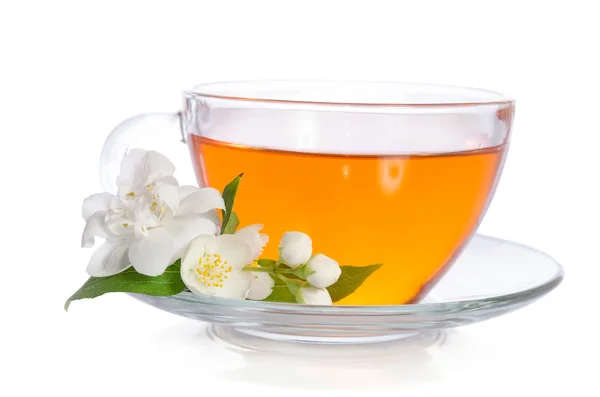 Glas kopp te jasmin på den vita bakgrunden — Stockfoto