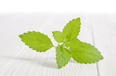 Beyaz ahşap masa üzerinde taze yeşil nane