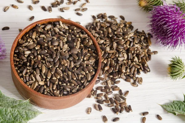 Sementes de um cardo de leite (Silybum marianum, Scotch Thistle, Maria — Fotografia de Stock