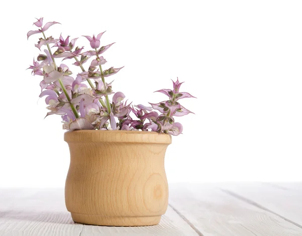 Salvia fresca en un mortero sobre una mesa de madera blanca —  Fotos de Stock