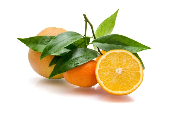 Oranges  on white  background — Stock Photo, Image