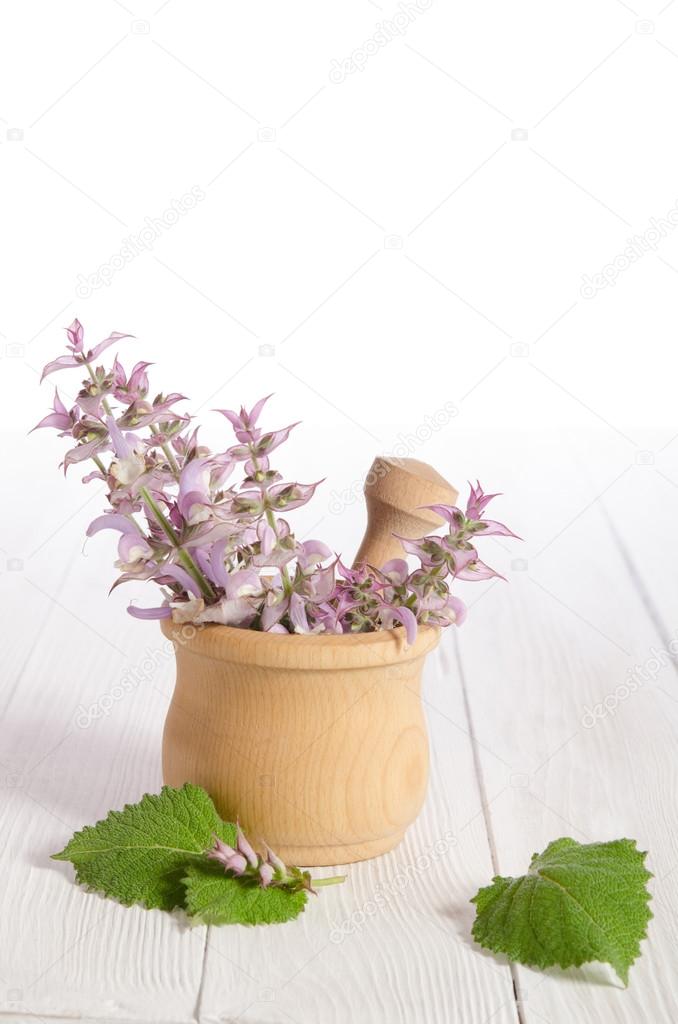 Fresh sage in a mortar on an white wooden table