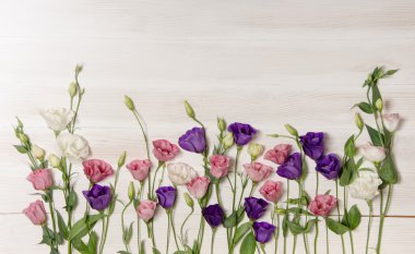 Colorful eustoma flowers on white wooden background and free spa clipart