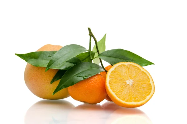 Oranges  on white  background — Stock Photo, Image