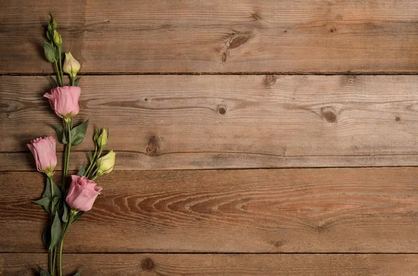 Hermoso eustoma sobre fondo de madera — Foto de Stock