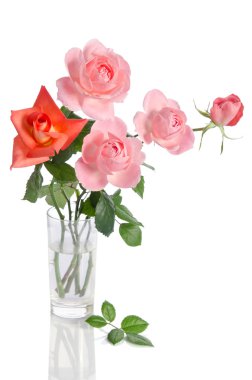 Güzel beyaz bac izole bir cam vazoda gül buketi