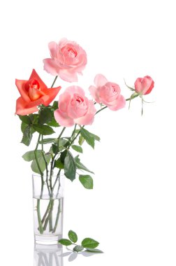 Güzel beyaz bac izole bir cam vazoda gül buketi