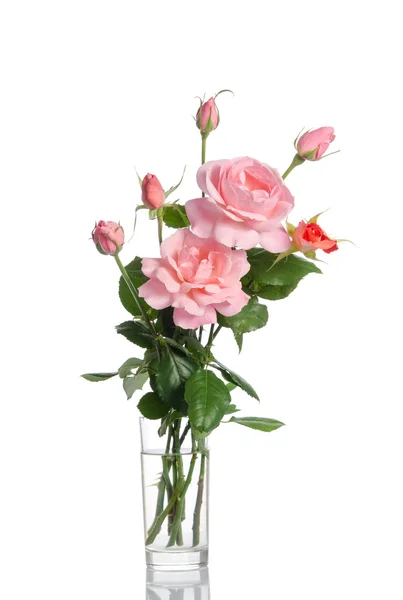 Krásnou kytici růží ve skleněné váze izolovaných na bílém bac — Stock fotografie