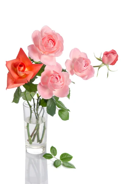 Прекрасный букет роз в стеклянной вазе, изолированной на белом берегу — стоковое фото