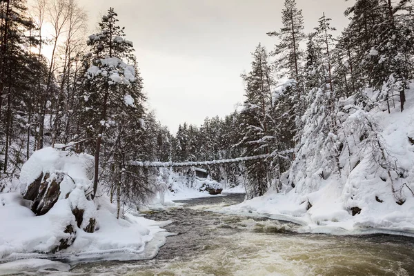 Река Киткайоки Национальном Парке Оуланка Финляндия — стоковое фото