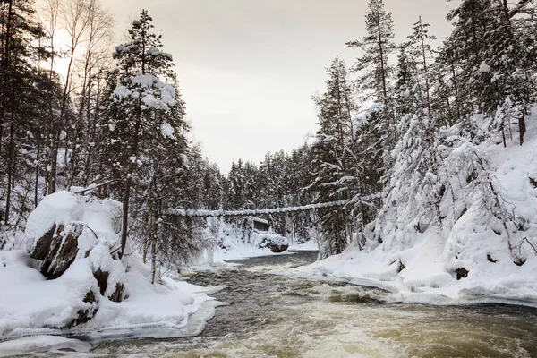 Oulanka Ulusal Parkı Ndaki Kitkajoki Nehri Finlandiya — Stok fotoğraf