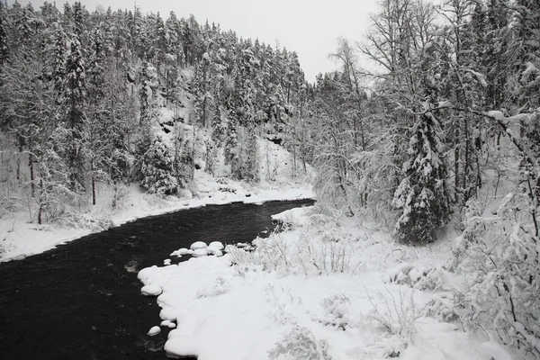 Paesaggio invernale — Foto Stock