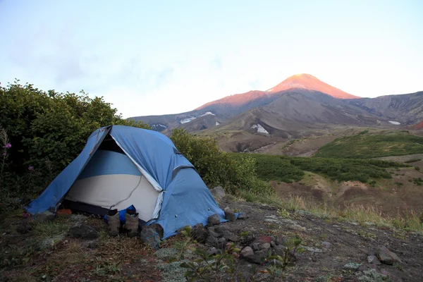 Camp near of Avachinskiy volcano. — Stock Photo, Image