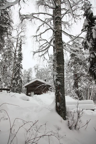 Zimní chatawinter's hut — Stockfoto