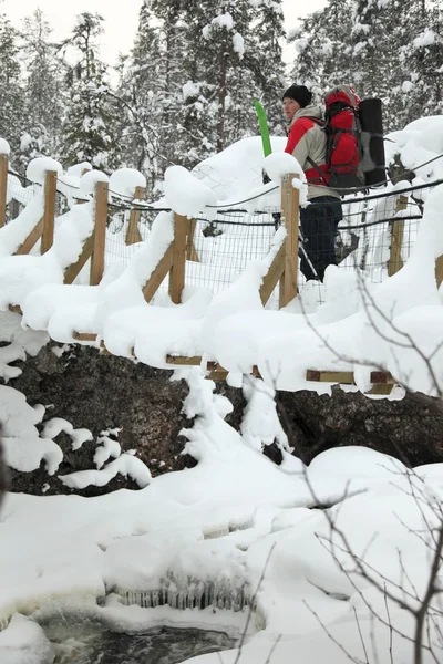 Foot-bridge Parque Nacional de Oulanka. Finlândia . — Fotografia de Stock