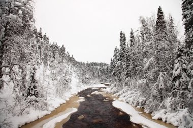 Winter landscape in Finland. clipart