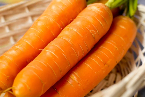 Три свежих морковки с зелеными стеблями крупным планом — стоковое фото