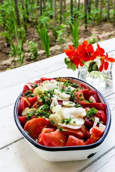 Salade de tomates — Photo