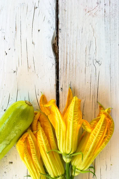 Fiori di zucchine — Foto Stock