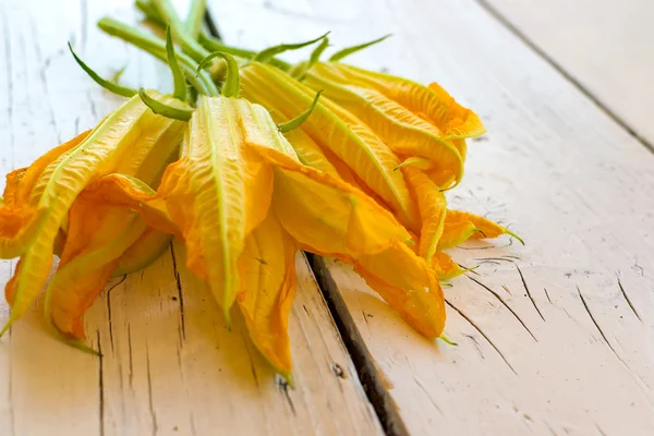 Flowers of courgettes — Stockfoto